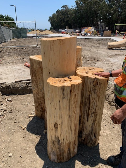 Centennial Trail Playground Wood